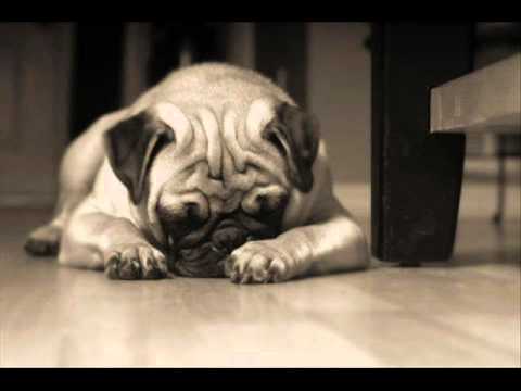 Breeze & Quadrat - Wind of Emotions