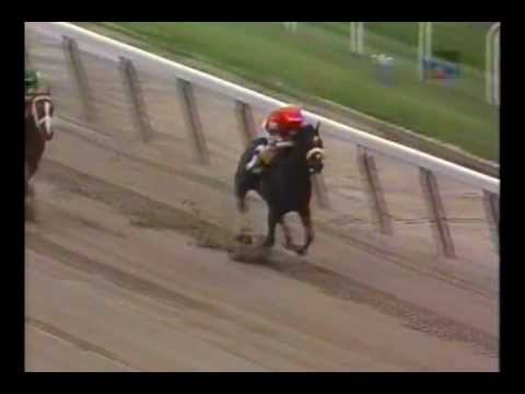 *Breaking The Belmont Track Record* - Kelly Kip - 1996 Belmont Maiden Claiming Race
