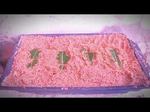 flower garden sopar technique#Ataurkrishigarden#bangladesh