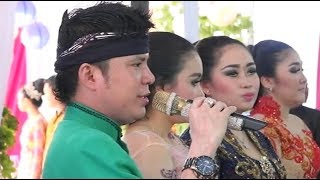Download lagu Langgam Jawa Paling Joss!! Sindene Ayu Mlenuk Kabeh Sedap Dipandang - Dimas Tedjo Campursari Revansa mp3
