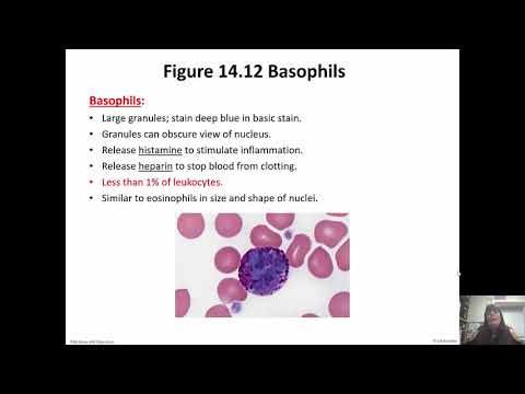 Blood Part 1 Chapter 14