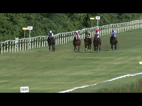 2018.08.12. 08. futam - KOZMA FERENC EMLÉKVERSENY (HUN Gd-2) (NGL-VI.)