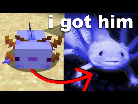 I Bought a Minecraft Axolotl in Real Life