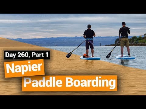 🌊 Stand-Up Paddle Boarding (SUP) in Napier – New Zealand's Biggest Gap Year Video