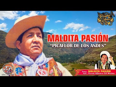 Maldita Pasion - Picaflor De Los Andes