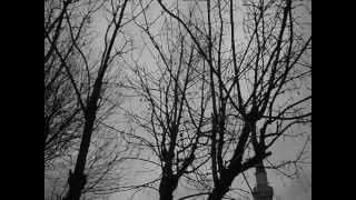 Max Richter - Sarajevo (Video)