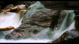 Black Label Society  ~ The First Noel