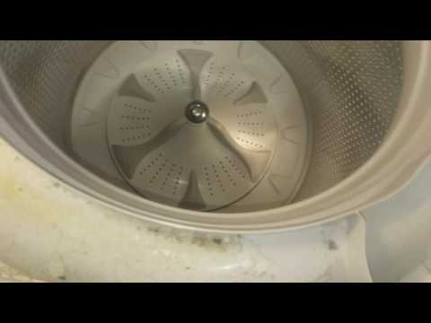 image-Can you put liquid detergent directly in washer?