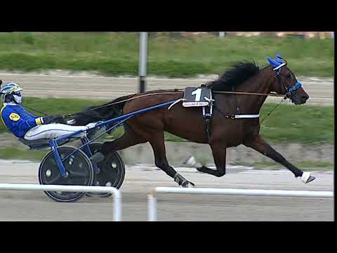 Napoli Trotto 26/03/2023 - 2ª corsa