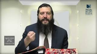 הדף היומי ירושלמי מסכת תרומות דף יז