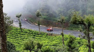 Podi Mettu- Pooparai#👌🙏❤️👍hillsstation#shortsfeed#trending# tea#viralvedio#youtubeshorts#nature