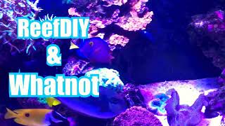 3D Printed Protein Skimmer