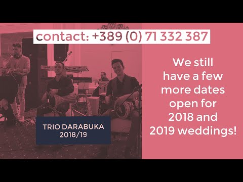 Darbuka solo by Trio Darabuka 🔥 WEDDING PARTY 🎉