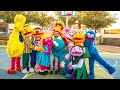 Plaza Sesamo Mi Fiesta De Cumpleaños