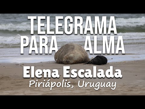 TELEGRAMA PARA ALMA - Elena Escalada (Piriápolis, Uruguay)