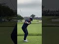 THE PERFECT GOLF SWING • ADAM SCOTT