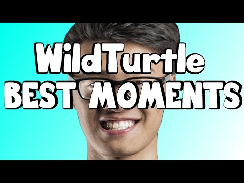 WildTurtle Best Moments || Highlights ● Stream ● Interviews ● Funny
