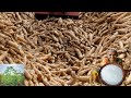 ஜவ்வரிசி செய்யும் முறை SABUDHANA Making Process Cassava Javv