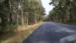 preview picture of video 'A drive through the Bandipur National Park'