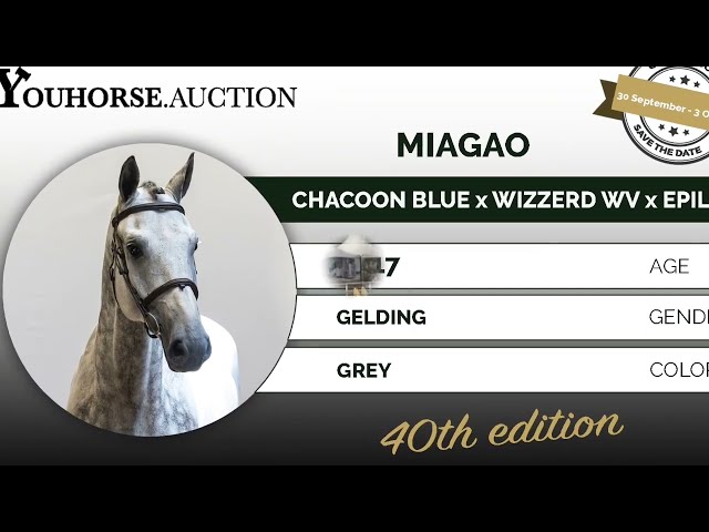 Miagao @ show