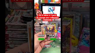 Sun Kitty 😱 #pokemon #pokemoncards #pokemontcg #pokemoncommunity #asmr #satisfying #funny