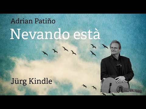 Adrián Patiño by Nevando Está (arr. Eduardo Falù) | Jürg Kindle Guitar Performance