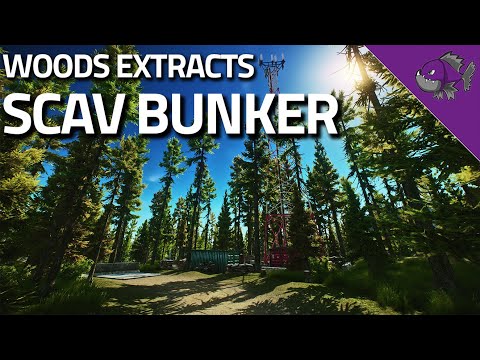 Scav Bunker - Woods Extract Guide - Escape From Tarkov