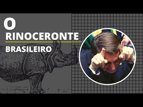 Bolsonaro: O Rinoceronte Brasileiro | Que Drama  Esse?