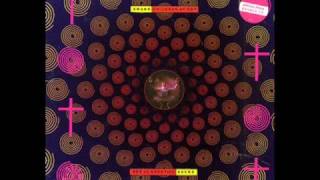 Beautiful Child - Swans