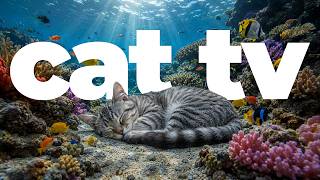 Cat TV 🐱 Underwater Fish, Beautiful Birds & Relaxing Music for Cats | Calm & Entertain Your Cat
