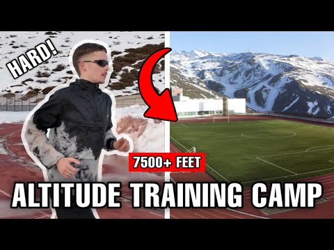 A Pro Runner Training At Altitude | Double Threshold Day