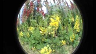 Let&#39;s go fishing for a dream