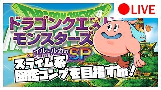 【イルルカSP】スライム系図鑑コンプを目指して！雑談攻略 #8【ドラクエモンスターズ２】
