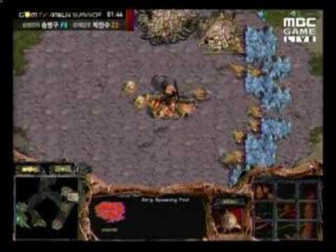 Stork vs Luxury Pt1/2 On Python