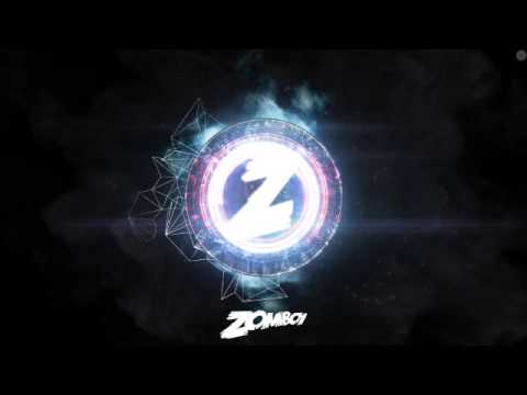 ZAB X ZIOMEK LTZ-Wizja lokalna