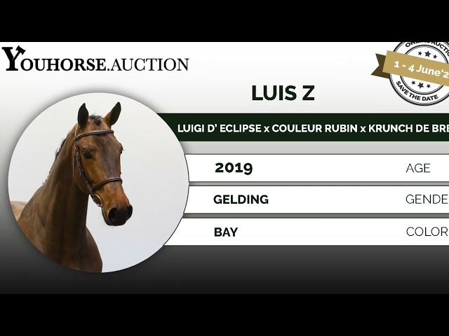 Luis Z