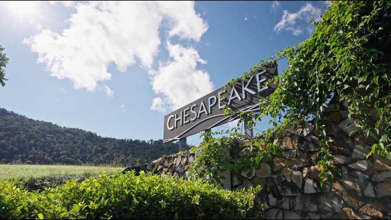 Ray White Whitsunday