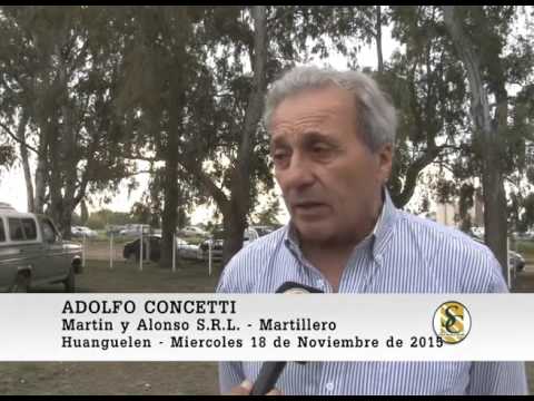 18-11-15 Nota Adolfo Concetti - Martin y Alonso S.R.L. - Huanguelen.