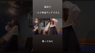 一人で革命デュアリズム歌ってみた #セルフコラボ開催 #一人スタジオ