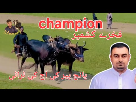 dand fakhry kashmir | new try today | ch aqeeb shab chakswari