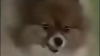 BO7