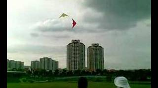 Two Kites