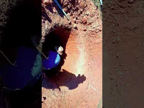 PASTORAL DA MORADIA DE GAMELEIRA GOIÁS.