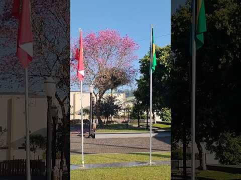 15/09/25,Meu novo quintal,Santiago do Sul, SC.#turismo #viagem #santacatarina #santiagodosul