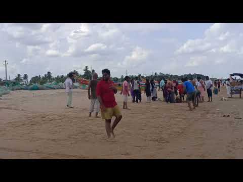 beach in cheerala  #8341779906