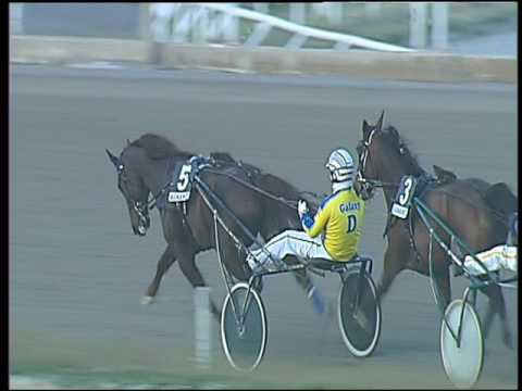 Trotto 17/03/2017 - 5ª corsa