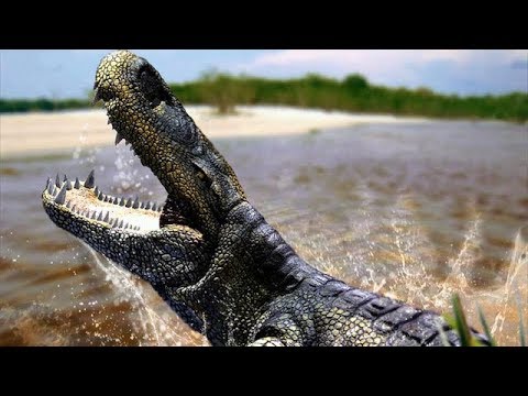 Purussaurus - The Biggest Crocodile That Ever Existed? / Documentary (English/HD)