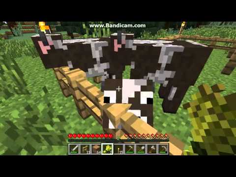 Dansk Minecraft-guide e06 - svampestuvning og opbevaring