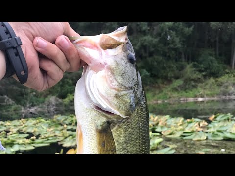 Fluke Fishing Secrets…?