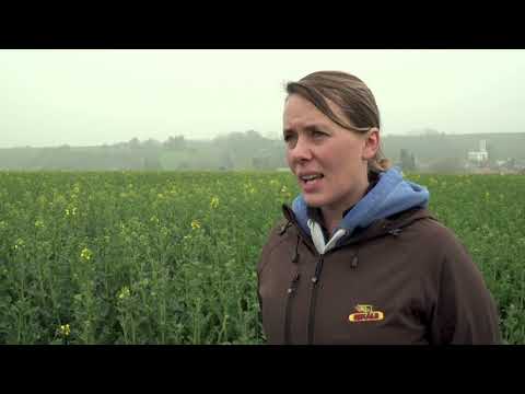 Die DK Challenge Reportage 2018/2019 - Phase 3: Frühjahrswachstum